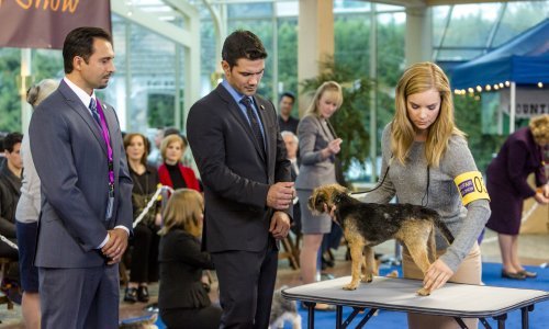 Možda ste gledali 'Ponos i predrasude', ali što s modernom inačicom 'Ponos i predrasude i psi'?