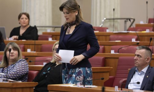 Oporba oplela po Jandrokoviću; Vidović Krišto: Takvo vođenje Sabora, kao da vodi seosku birtiju