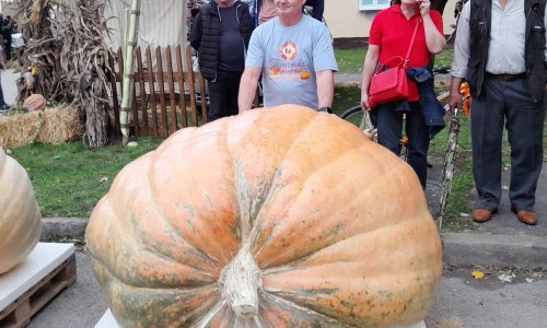 Baranjac uzgojio bundevu od čak 627 kilograma!