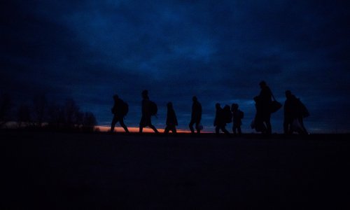 Drogiran i bez vozačke dozvole prevozio ilegalne migrante u BiH