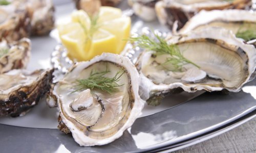 Jesu li kamenice doista afrodizijak?