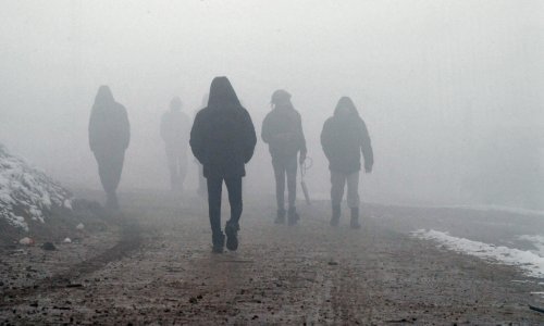 Samo ove godine azil zatražilo 7258 migranata; evo iz kojih država ih je najviše