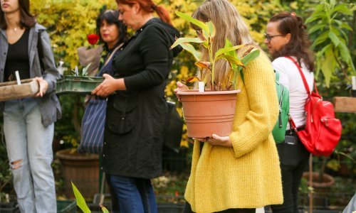 [FOTO] Zagrepčani pohrlili po biljke u Botanički vrt: Zbog godišnje rasprodaje čekalo se satima u redu