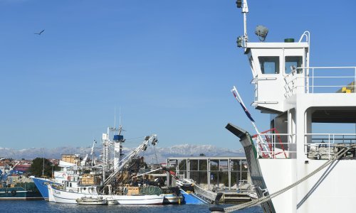 LNG Hrvatska planira opskrbno mjesto za ukapljeni i stlačeni plin u Luci Gaženici