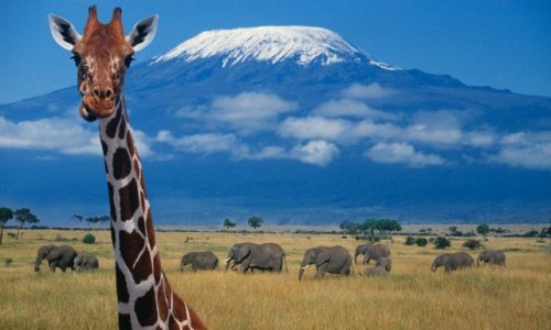 Dubrovačka ekspedicija osvojila najviši vrh Afrike