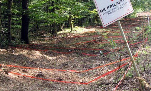 Djelatnici 'Hrvatskih šuma' pronašli 15 protupješačkih mina u Baranji