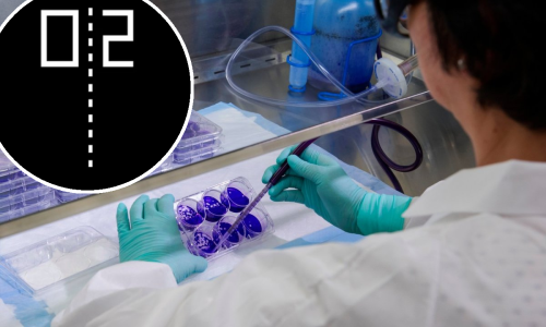 [VIDEO] Znanstvenici pronašli način komunikacije s neuronima u posudi, naučili su ih igrati jednostavnu videoigru