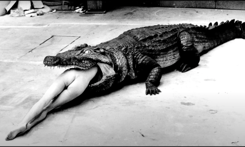 U kina stiže dokumentarac o kontroverznom fotografskom geniju