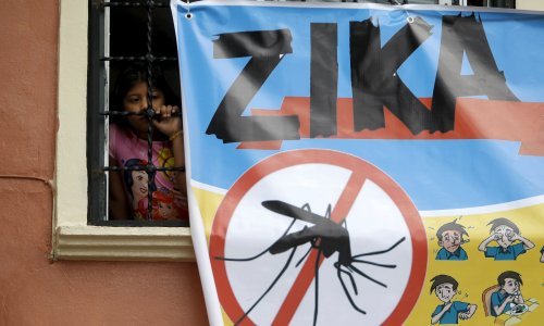 Francuska ograničila transfuzije krvi zbog virusa zike