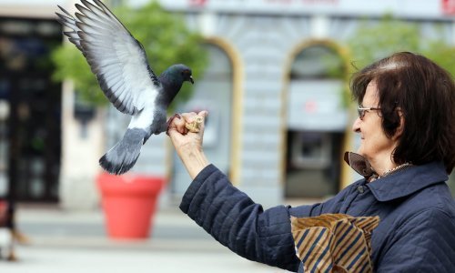 Krenula isplata jednokratne pomoći umirovljenicima zbog inflacije, 630.000 ljudi danas podebljava račune
