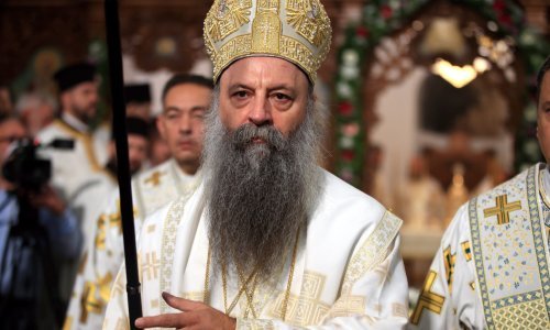 Porfirije tražio, država ispunila: Srbi izbacuju transrodne osobe iz udžbenika biologije