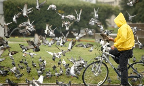 Djelomice sunčano, evo gdje je moguća kiša