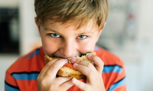 Povlači se Zelinska poli, pileća obarena kobasica, zbog neoznačenih alergena i soje
