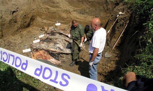 U Zadru ekshumirano 56 posmrtnih ostataka