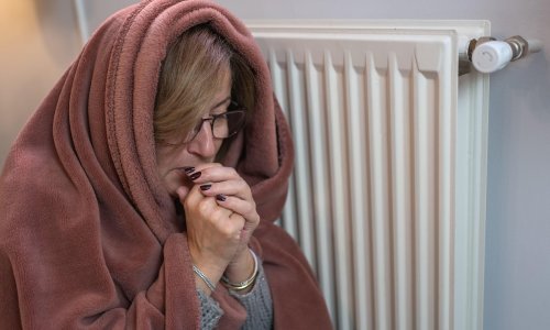 U Njemačkoj se šire ideje o alternativnim rješenjima za grijanje, osiguravatelji upozoravaju: 'Ne eksperimentirajte'