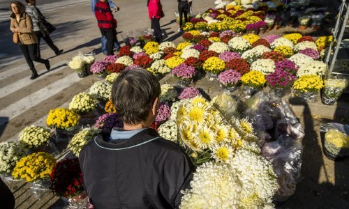 Svi sveti pod inflacijom: Cvijeće za grobove skuplje 20 do 30 posto