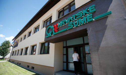Hrvatska ima zalihe od 419 milijuna kubika drva, pod upravom Hrvatskih šuma više od dva milijuna hektara