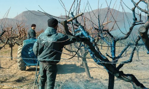 Hrvatski stručnjaci razbijaju mit: Smanjenje pesticida nije ekonomski štetno! 'To je kao da govorimo o održivoj upotrebi heroina'