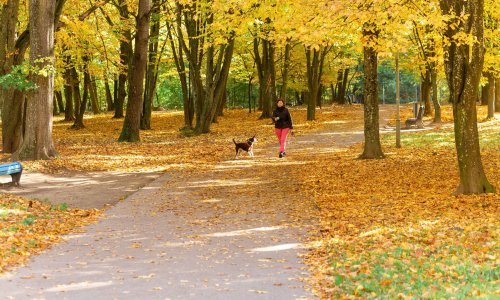 Godine 'brže' teku kad smo stariji, 'usporit' ćemo ih novim iskustvima
