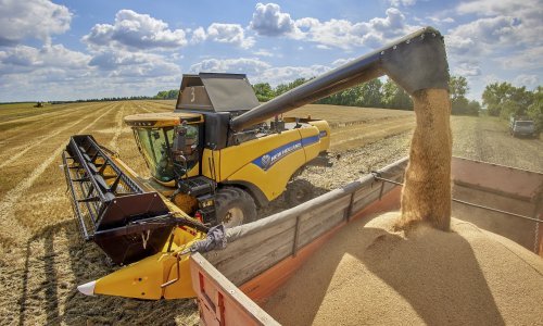 Francuska radi na kopnenim rutama za izvoz ukrajinskih žitarica