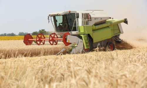 Pšenica i kukuruz poskupjeli nakon ruske obustave sudjelovanja u sporazumu o izvozu