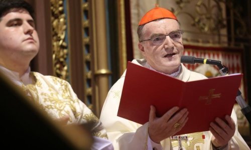 Bozanić se ljutito obrušio na Vulina, ali još ljuće na Vladu