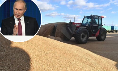 Putin će razmotriti nastavak izvoza žita tek nakon istrage napada na Sevastopolj