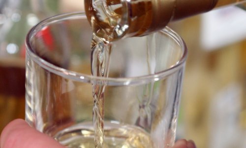 Radnicima Pan-Trgovine nije pomoglo ni 266.000 litara rakije