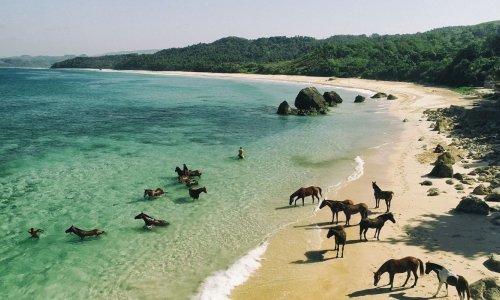 Sumba, tiha i ekskluzivna alternativa Baliju