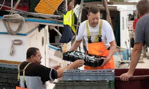 Na burzi samo 112.000 ljudi, nezaposlenost smanjena za devet posto