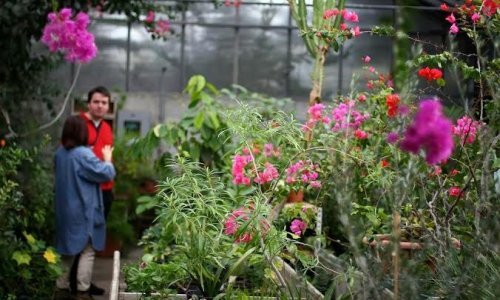 Vandali uništili botanički vrt u Kaštelima