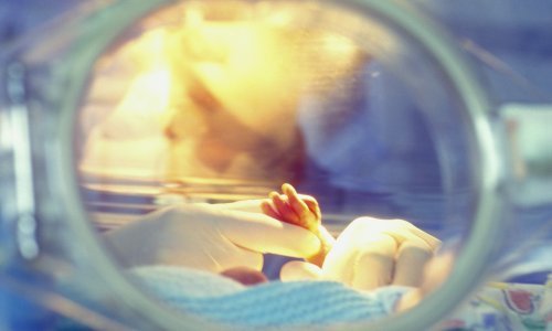 Svijet od noćas ima osam milijardi stanovnika. Prije 35 godina 5-milijarditi stanovnik Zemlje rođen je u Zagrebu