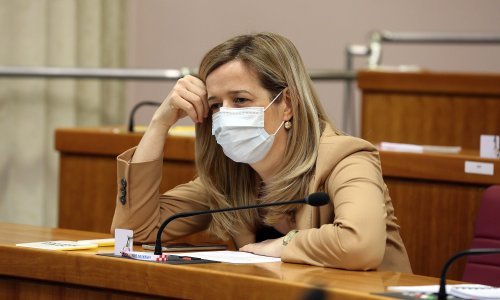 Ahmetović: Kandidat za NO HRT-a dolazi s istog fakulteta kao i ministar financija Primorac