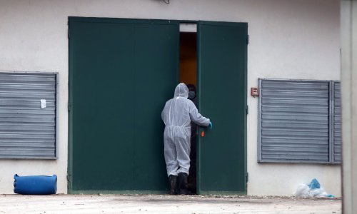 Ptičja gripa u Gornjem Stupniku: Ovo su sve zone ograničenja u Zagrebu i Zagrebačkoj županiji