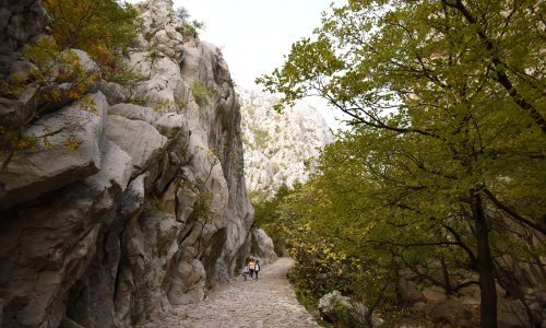 [VIDEO] Bujica u Nacionalnom parku Paklenica odnijela stazu staru 90 godina, ravnateljica u čudu: 'Ovako nešto nama je do sada nepoznato'