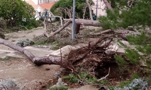 Nevrijeme protutnjalo Dubrovnikom: Porušenog drveća na sve strane, odroni na magistrali