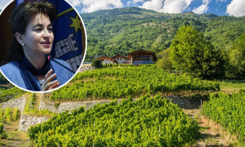 Aktualna proizvodnja hrane na izdisaju: 'Polja tretirana biodinamičkim preparatima par mjeseci dobro su se oporavljala'