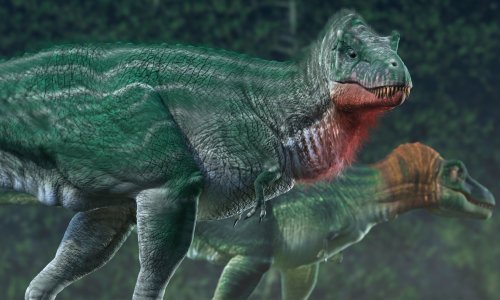 Letjeli-ne letjeli, većina dinosaura imala je perje