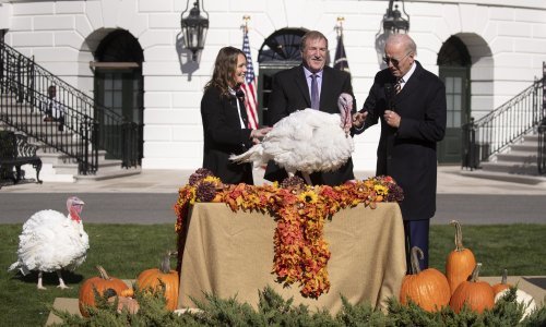 Joe Biden pomilovao dvije purice: Chocolate i Chip su spašene, neće postati nečija večera