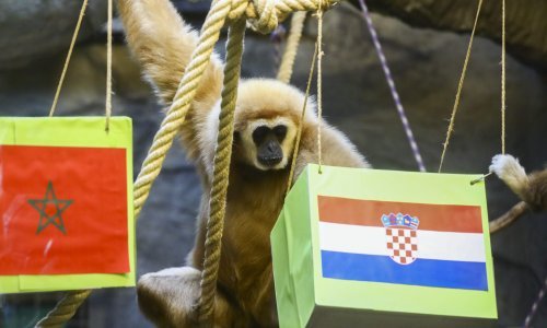 [VIDEO/FOTO] Gibon Kent ni trenutka nije dvojio: U srijedu slavi Hrvatska