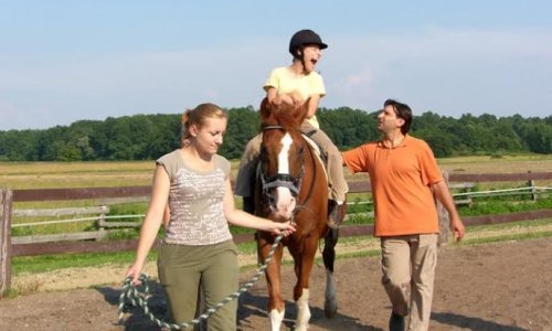 Dok medicina ne pronađe rješenje, njihovo zdravlje ovisi o konjima