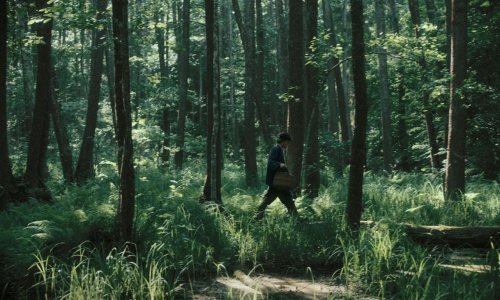 'Pjesme za lisicu' - maštovita drama koja jednostavno odiše stilom