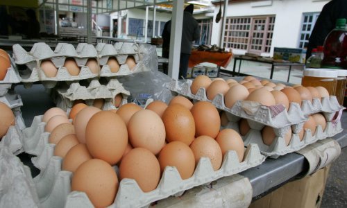 Stiže nestašica jaja, i potrajat će: Cijena bi mogla skočiti i više od 40 posto. Stručnjaci otkrivaju što se događa