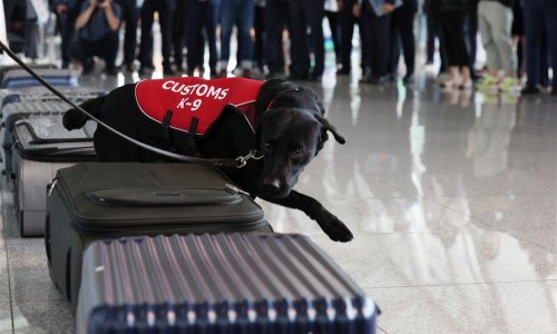 Žena osumnjičena za ubojstvo djece pronađene u koferima izručena Novom Zelandu