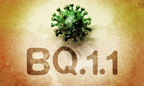 Nova studija otkriva: Terapije antitijelima neučinkovite protiv varijante omikron BQ.1.1