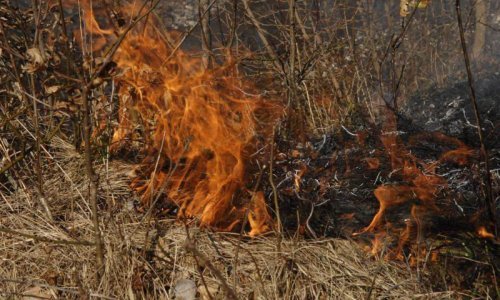 Palio granje i travu pa aktivirao minu