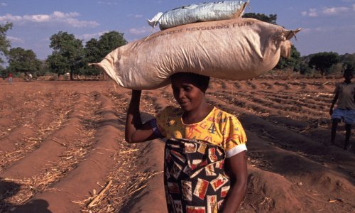 UN: Otpremljena prva pošiljka ruskoga gnojiva za Afriku