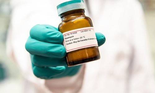Rapamicin: uzmite ga dok ste mladi kako biste duže živjeli