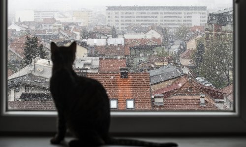 Hoćemo li dočekati bijeli Božić? Pogledajte što kaže dugoročna prognoza