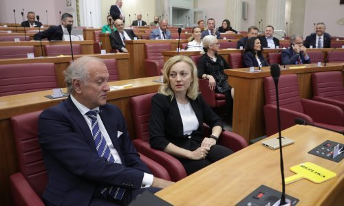 Bošnjaković uvjeren u konsenzus oko promjena Ustava vezanim za referendum